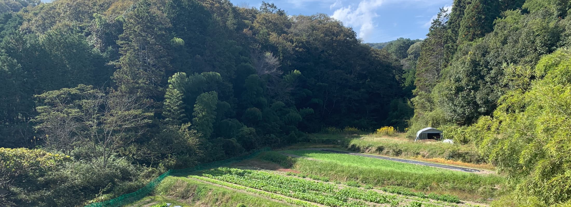 なぜ農業なのか