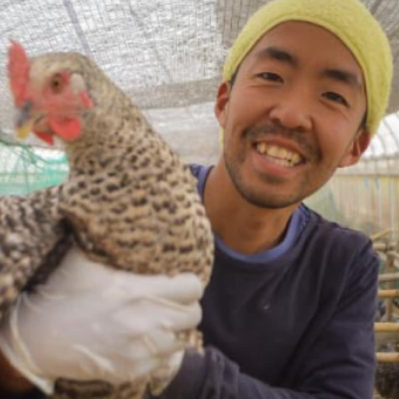 ホトトギス株式会社 代表