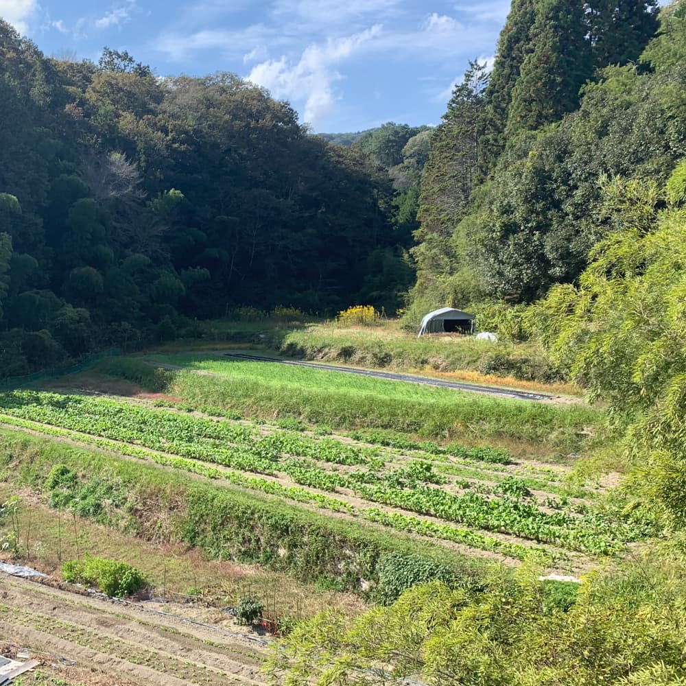 ホトトギスファームの焼菓子