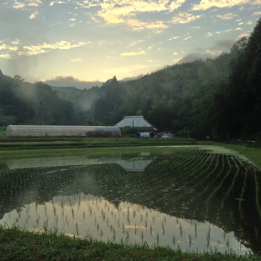 ホトトギスファームの焼菓子