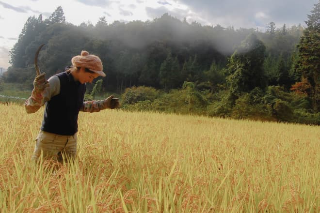 小麦アレルギーの試練と苦渋の別れ